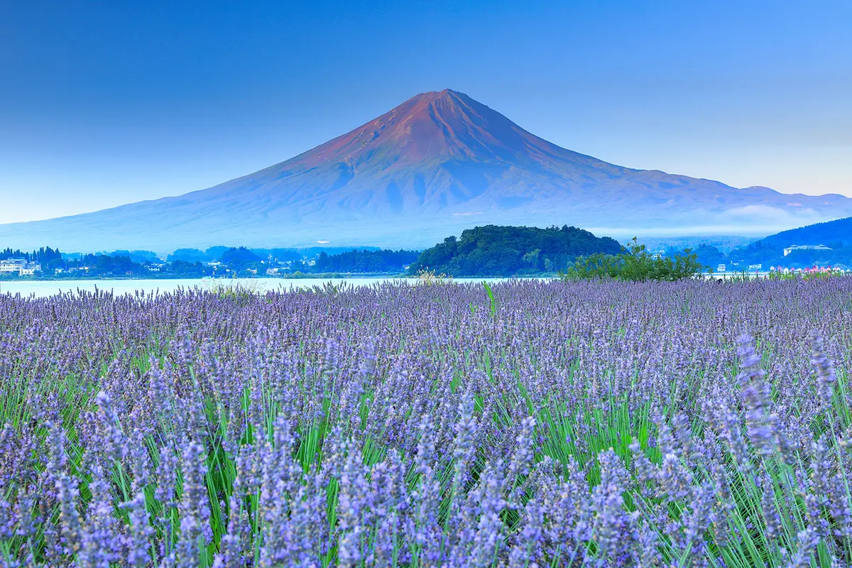 温泉